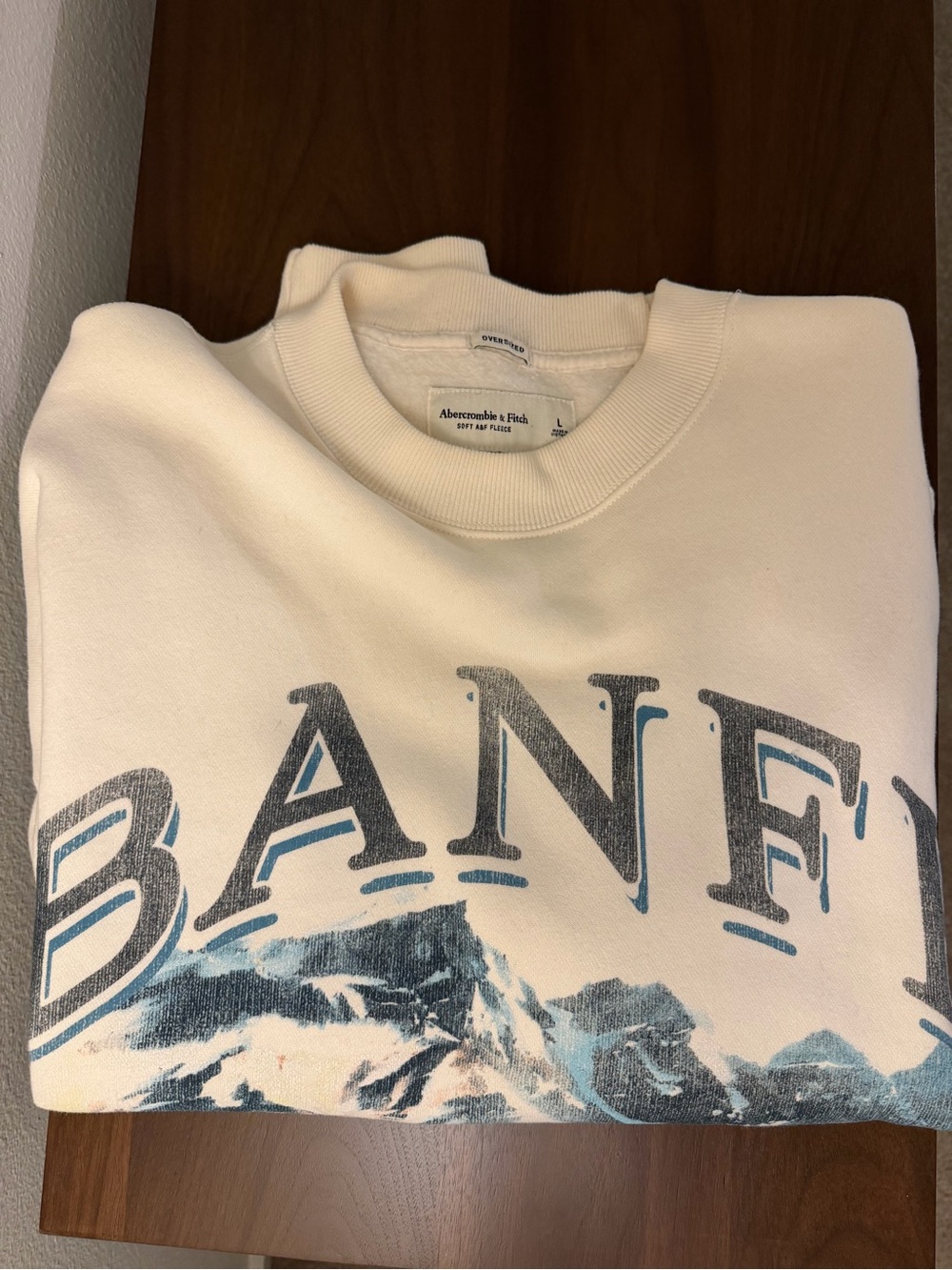 Abercrombie & Fitch Oversized Graphic Sweater - Banff National Park - Picture 4 of 7